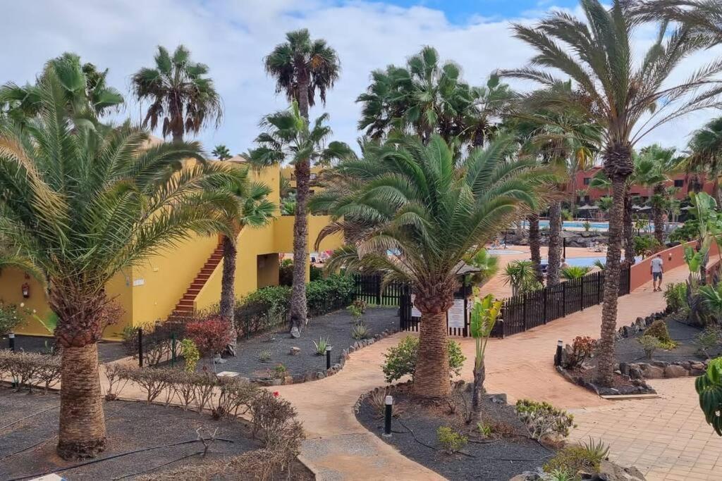 Appartamento Bouganville Con Terrazza E Piscina Corralejo Bagian luar foto