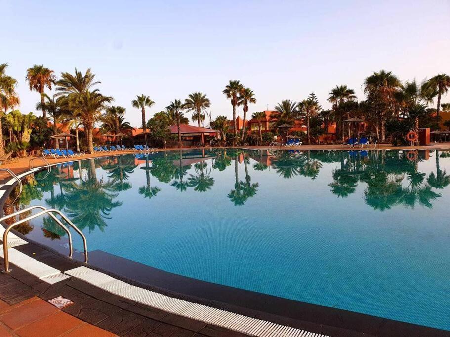 Appartamento Bouganville Con Terrazza E Piscina Corralejo Bagian luar foto